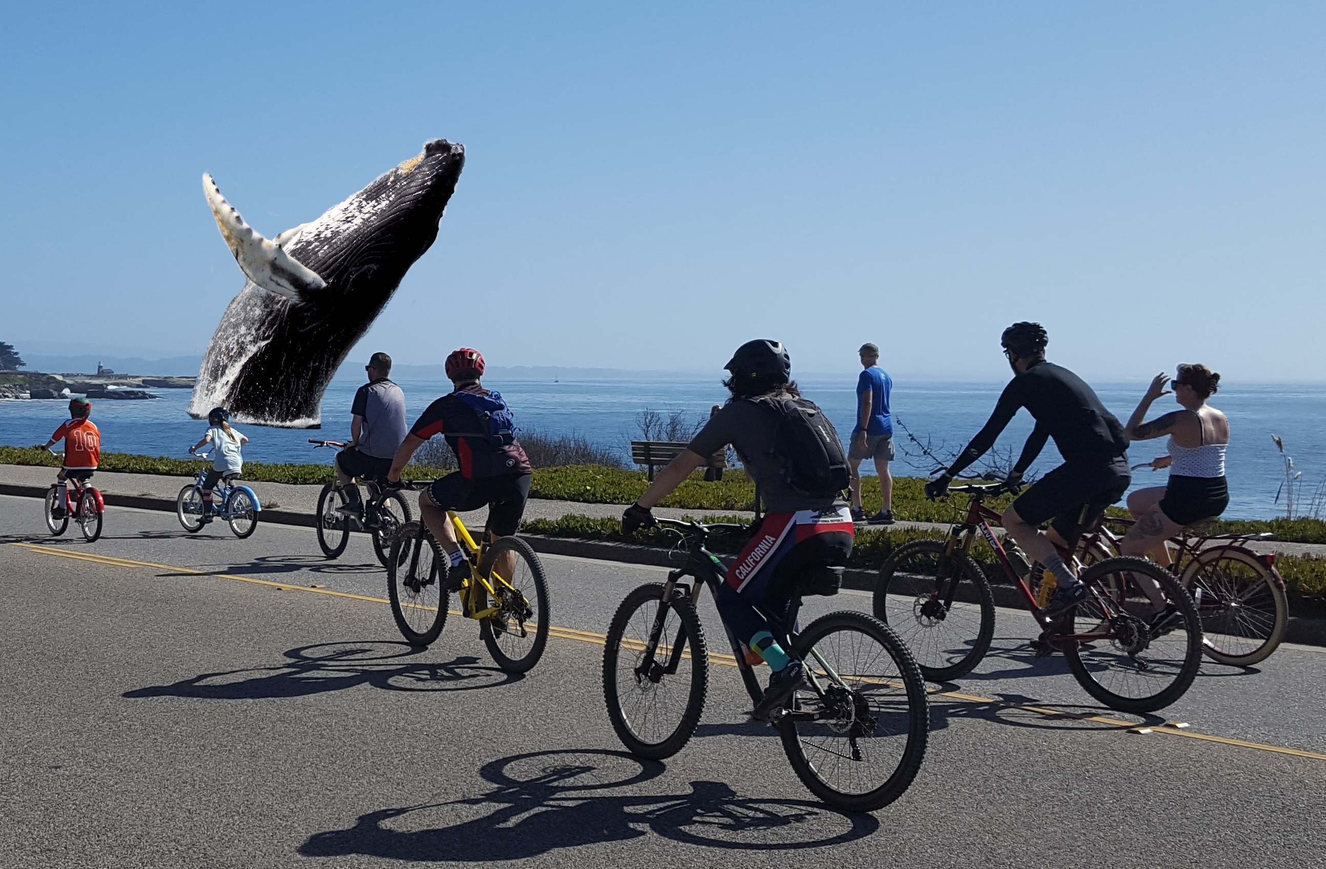 Bikes and Whales: Better Together
